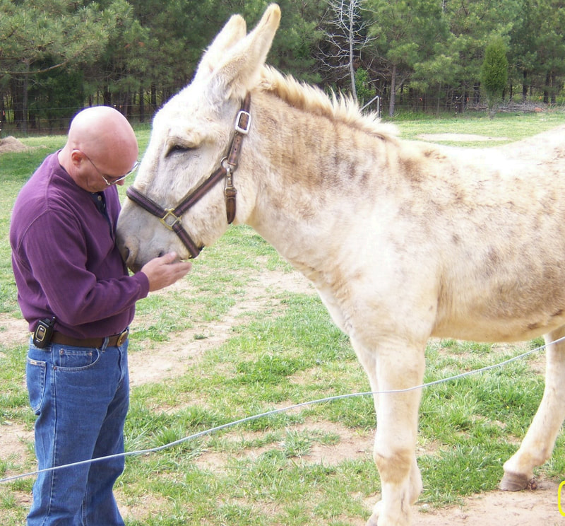 Chris, 3 months after quadruple by-pass surgery on our farm in Wilton, NC, with a rescue Jack, Roscoe P Coltrane.  These two were inseparable rehabilitation  buddy's. They both loved each other.